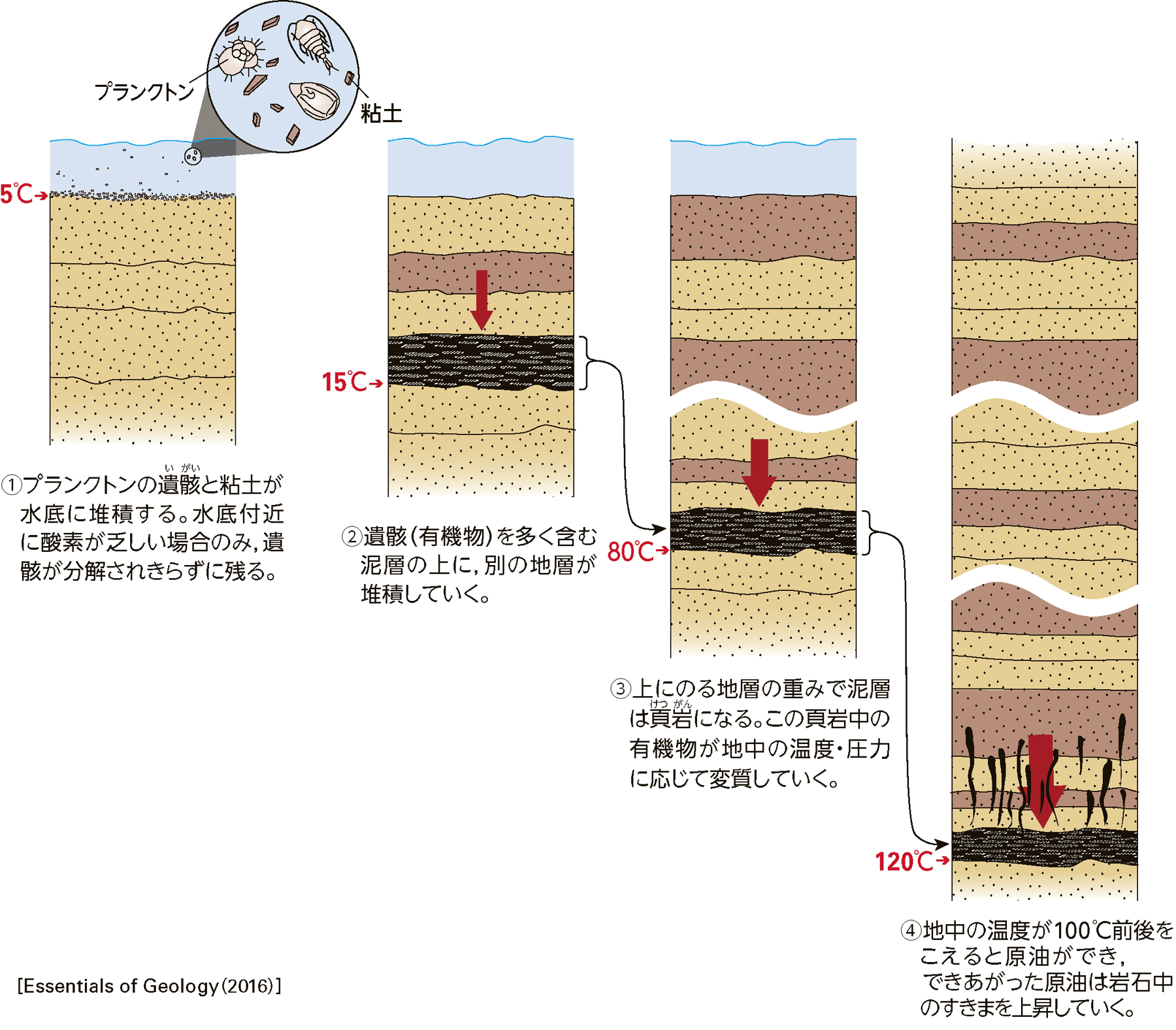 原油の生成過程の模式図